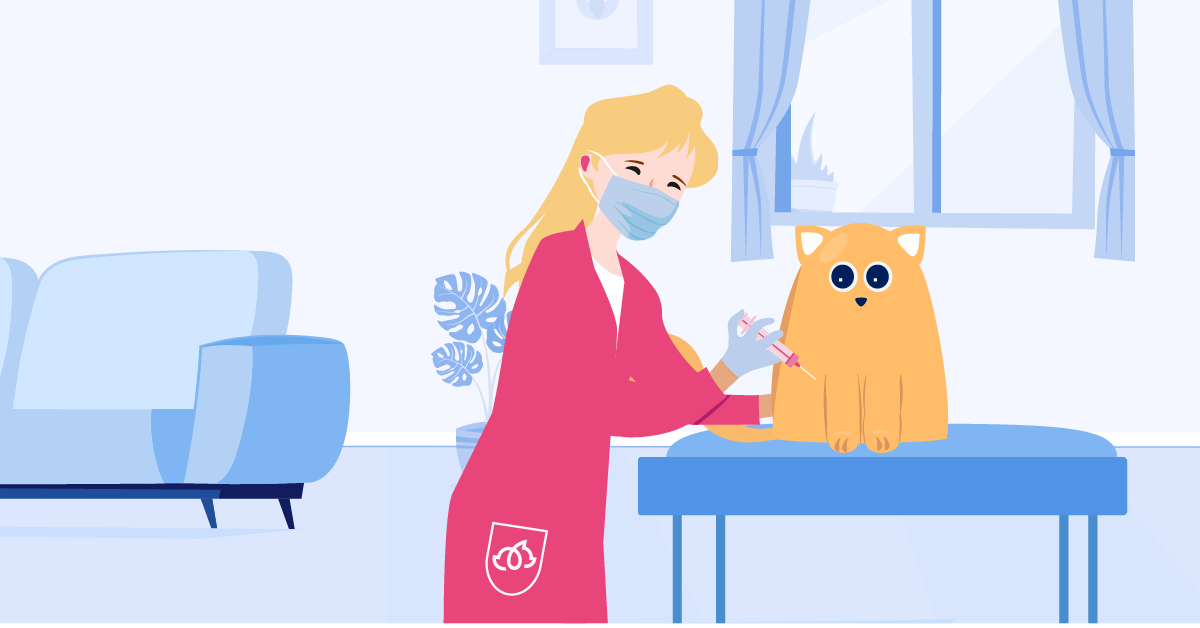 Cat Vaccines BetterVet